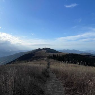 そして森のないこっちの道から帰ろう。
見通し良いから🐻が出ても気がつくでしょう。