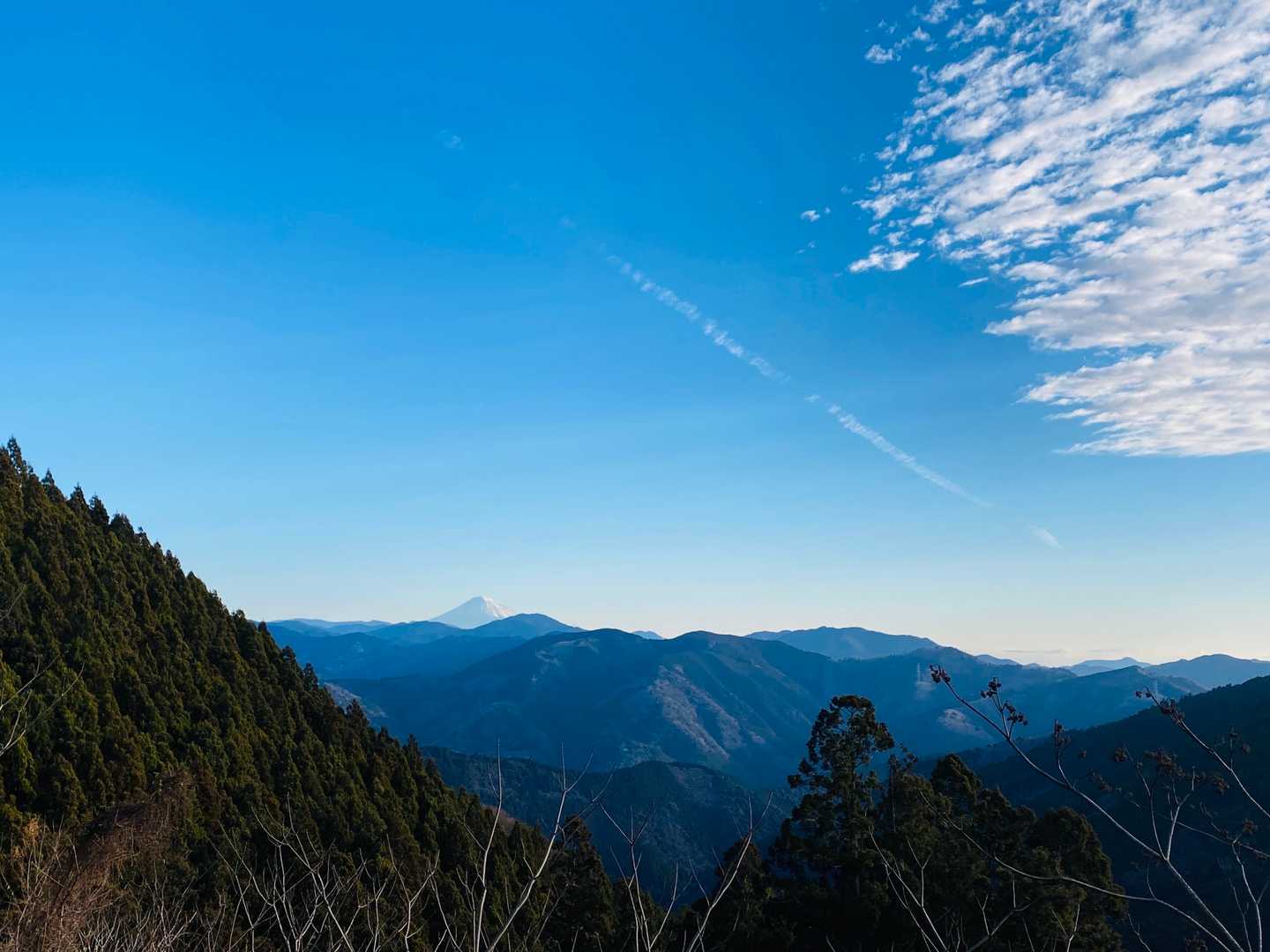 登山道🥾からの富士山🗻