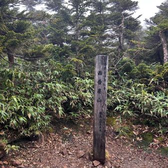 山頂へ