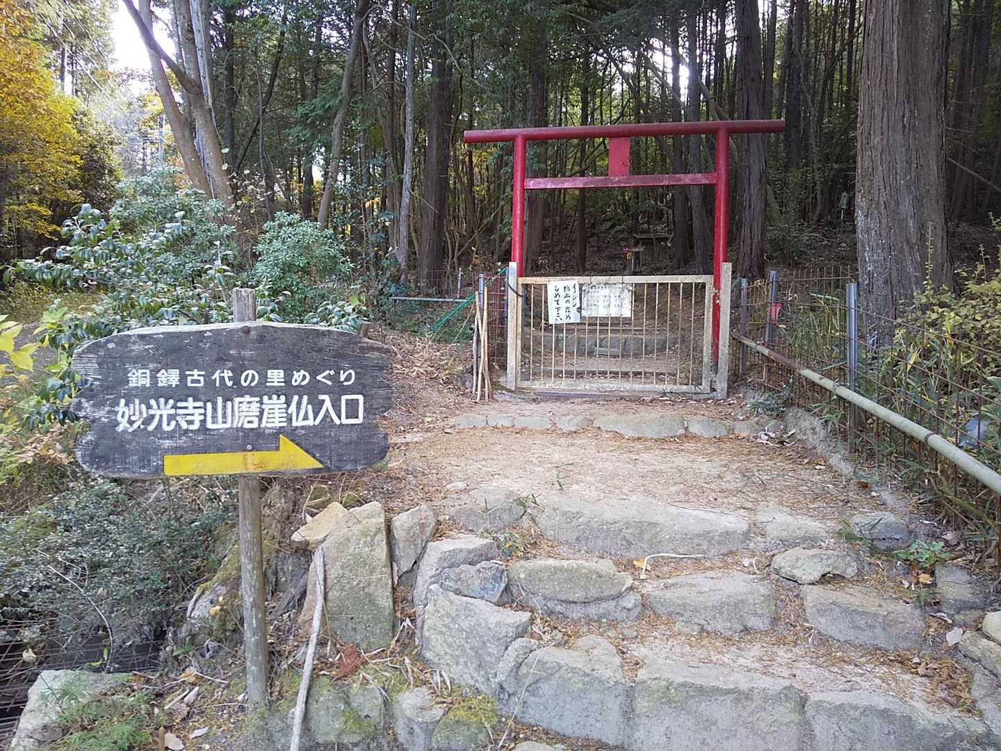獣避けのゲートを出た所です
