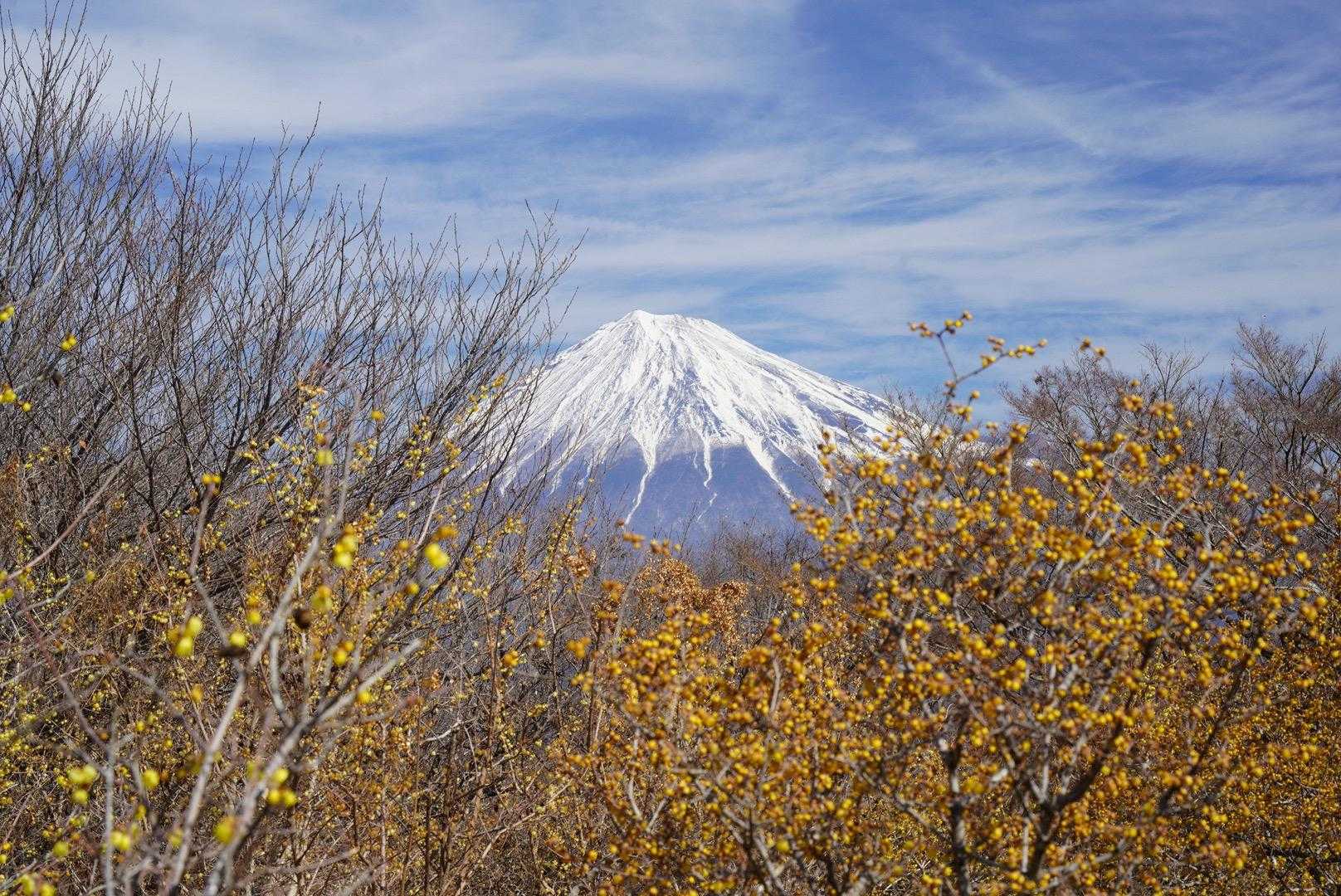 岩本山-岩本山登り口-明星山登山口-明星山 往復コースの写真
