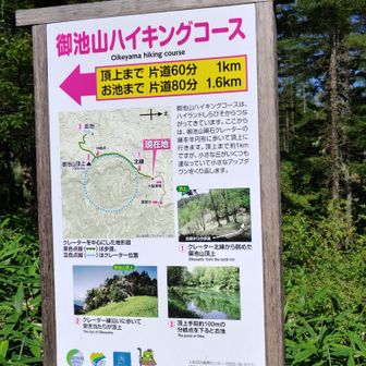 御池山ハイキングコース