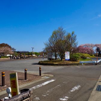 公園は春休みと花見が重なり🌸
駐車場待ちの行列ができるほどの大盛況😳
キッチンカーもいくつか。
靴を洗った後
アイスコーヒーを飲んでノンビリする事にする