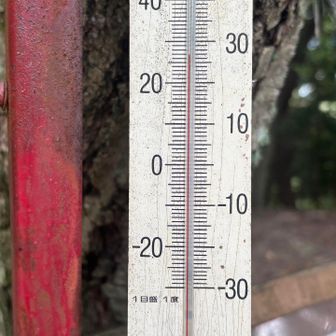 26度C。気温よりもムシムシで汗が止まらず💦
