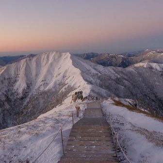 おはよージローさん🤍