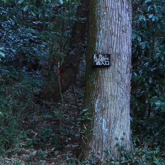 終点の松籟団地バス停🚏から住宅🏘️街を通り抜けてやってきた長良山⛰️西入口から登山開始🥾
