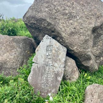 はて?
初めて見たような…🙏