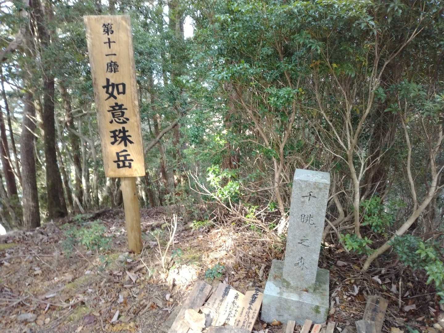 続いて 第１１靡 如意宝珠岳