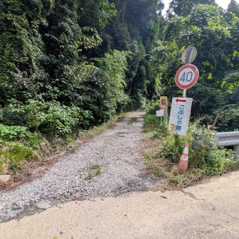小休憩したから4本目スタート