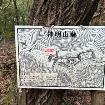 神明山山頂。神明山砦､多数ある砦の一つ