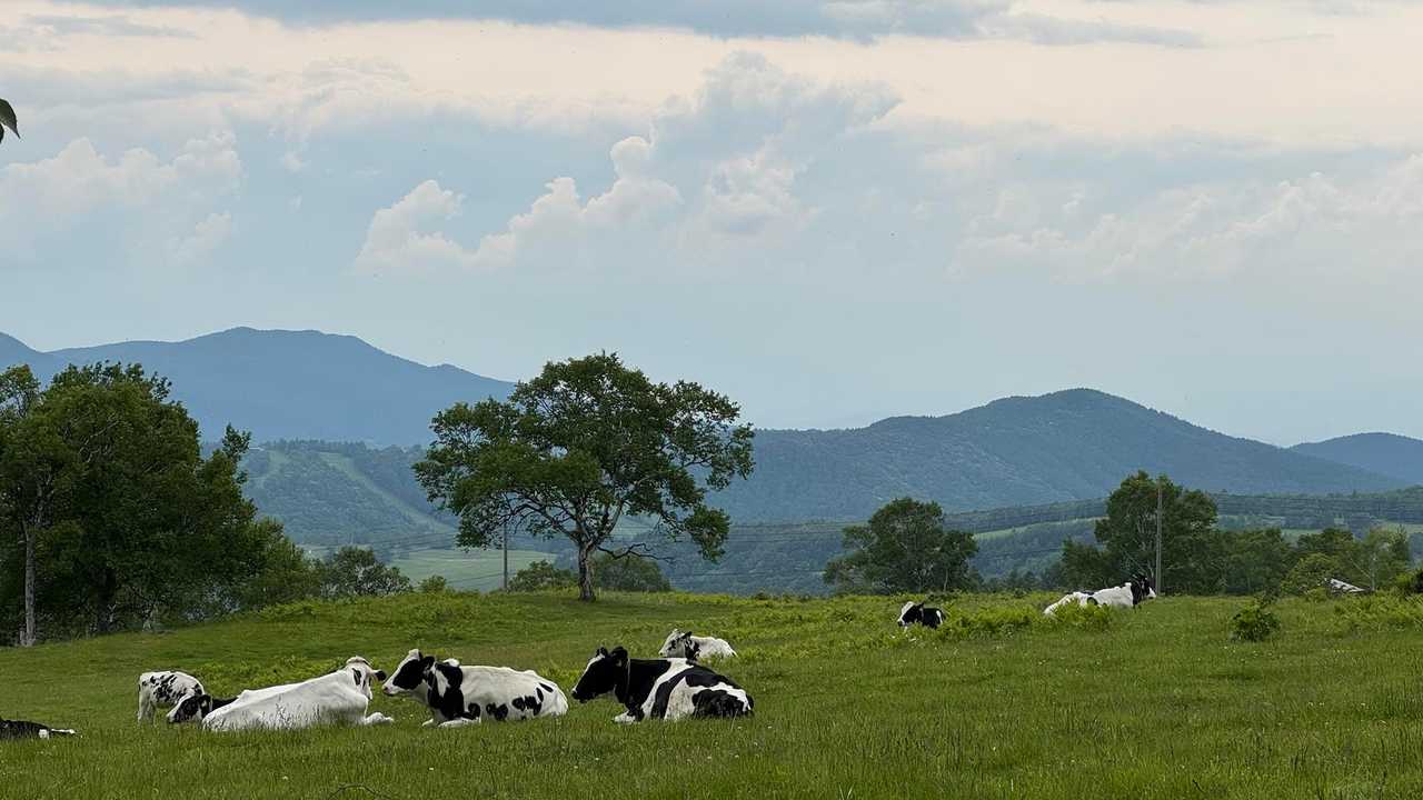 四阿山（小四阿・中四阿経由）、菅平牧場から の写真 11
