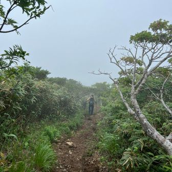 産沼コースを降ります。