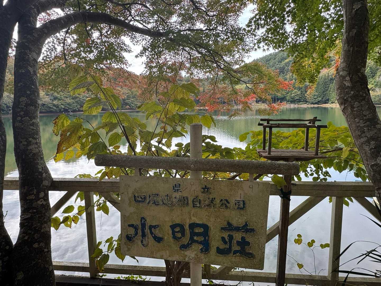 せーの、お疲れ〜🛖
軽めのおかわりいきます
