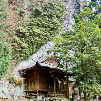 この奥には不思議な池があるそうな🧐