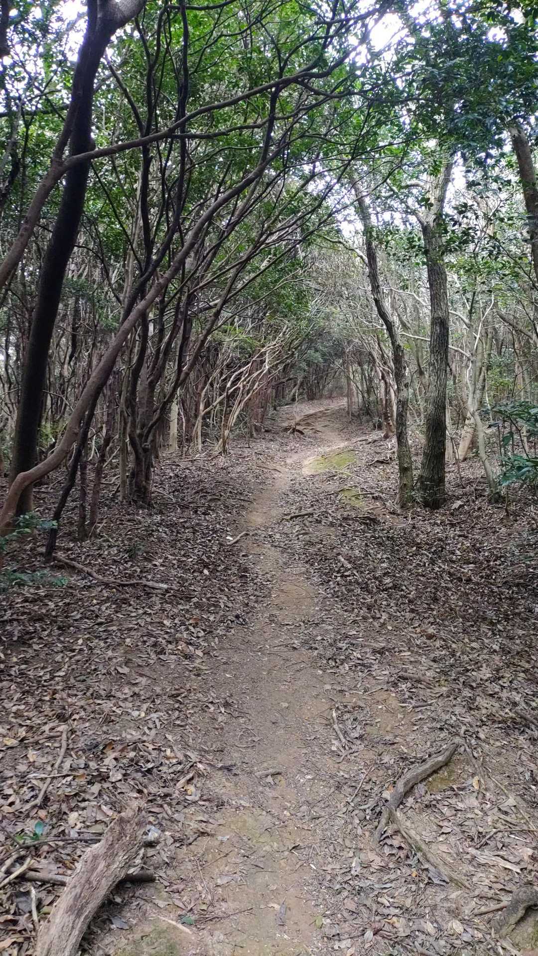快走路。走ってはない