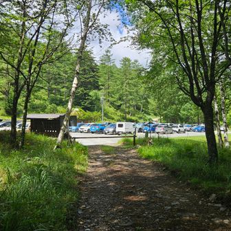 毛木平駐車場に戻って来ました。満車