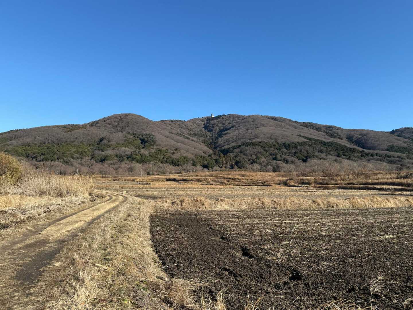 見たかったこの風景♡