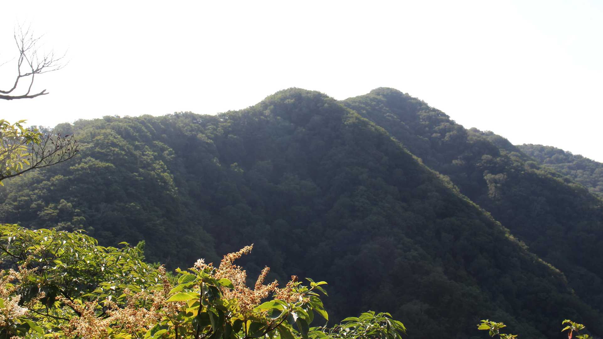 歩いてきた姥子山と鍬柄山