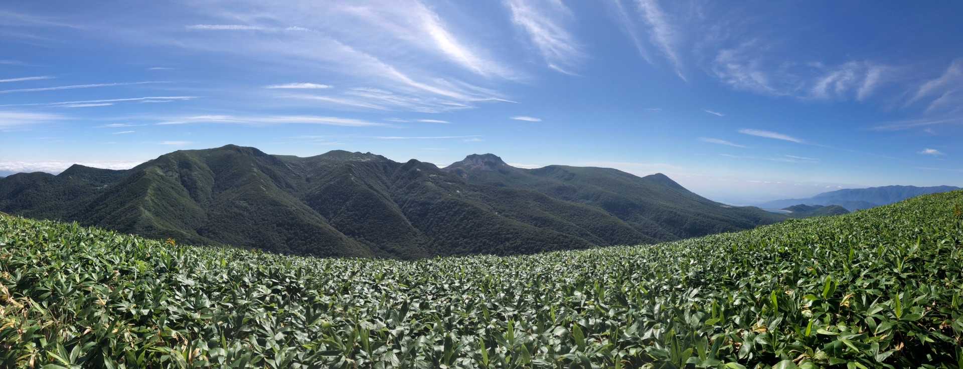 素敵過ぎる⛰