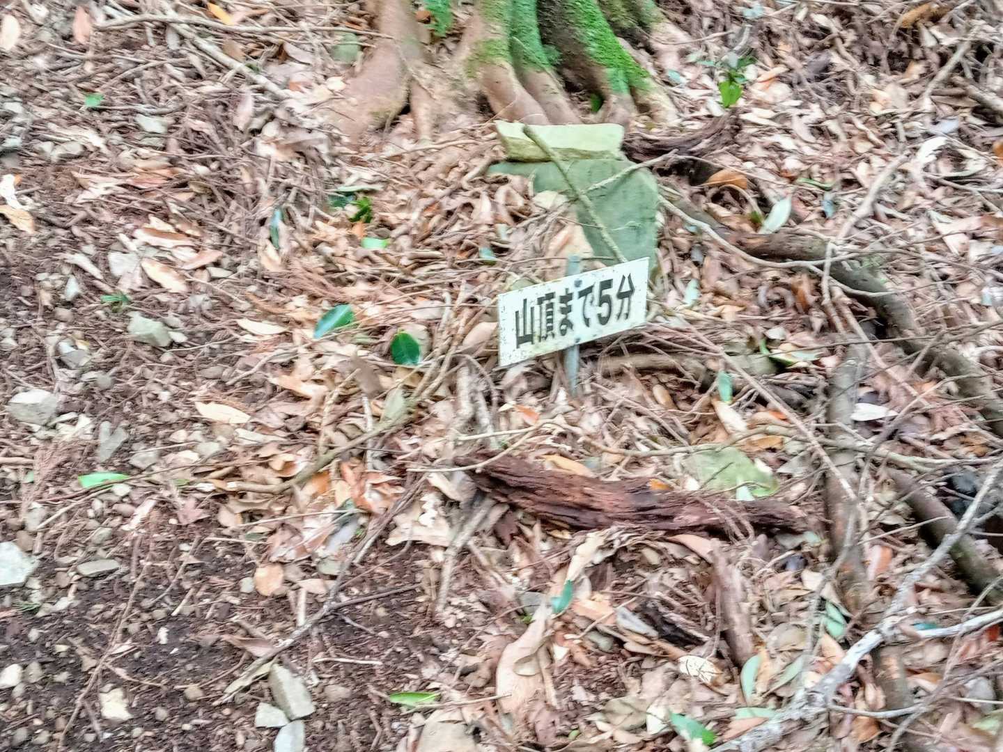 かめさん、ありがとう🤗