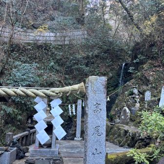 薬王院には寄らないので琵琶滝でお参り。
家族みんなの健康と幸せを🙏