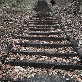 Stairs up the temple 