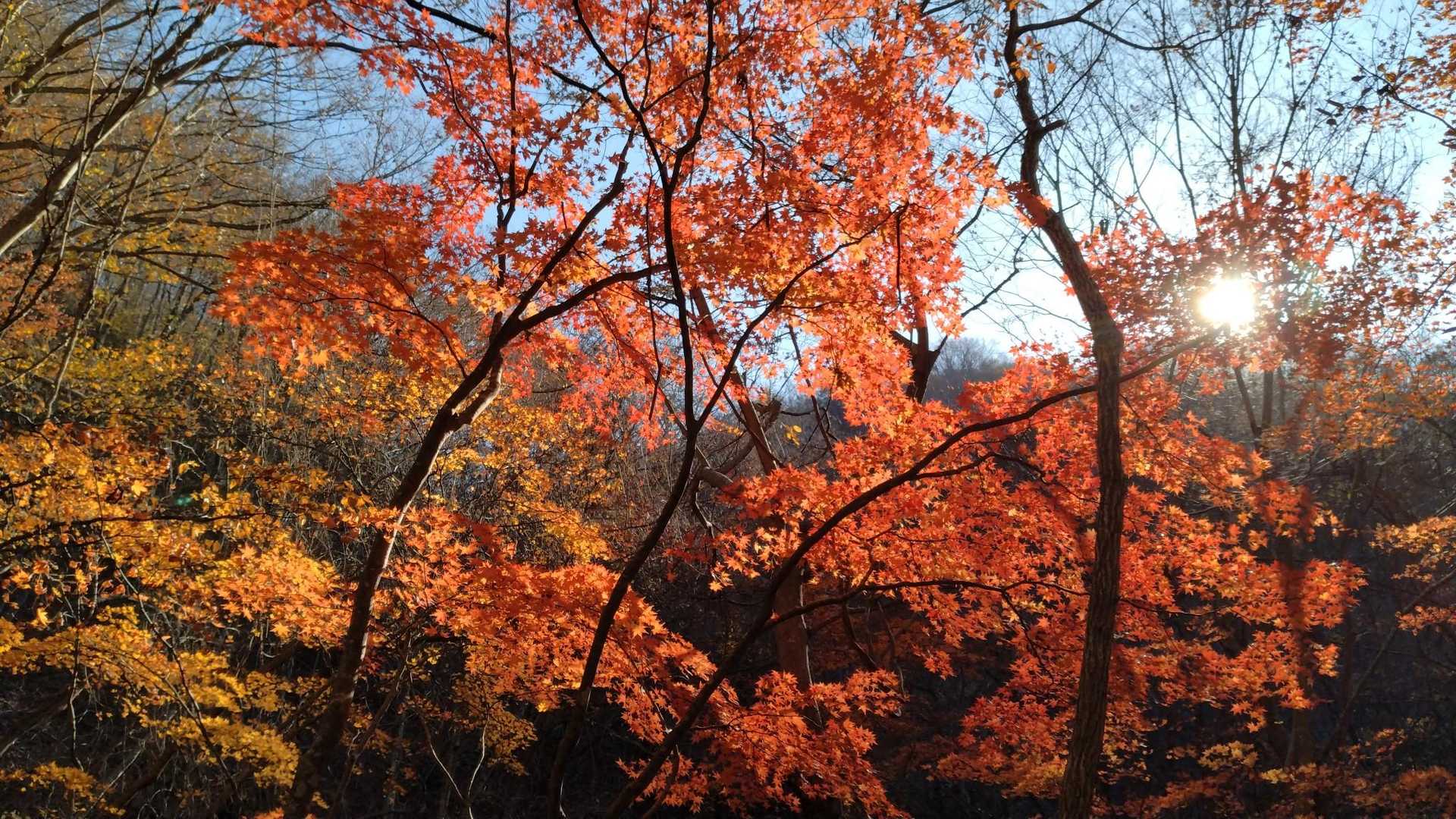 🍁きれい〜✨