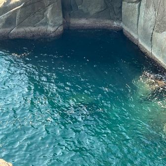 おー！いい色🩵