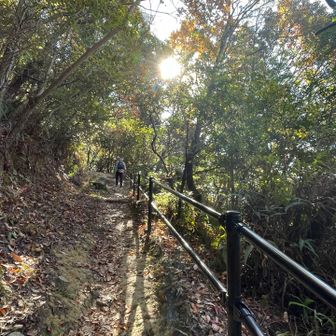 登り始めからしばらくの手すりが付いてて登りやすい