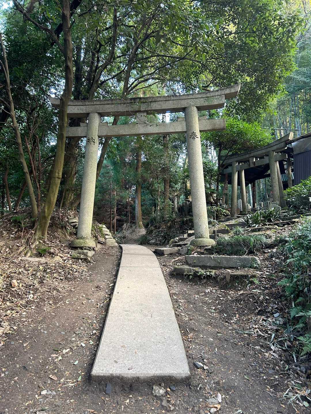 レッツゴー