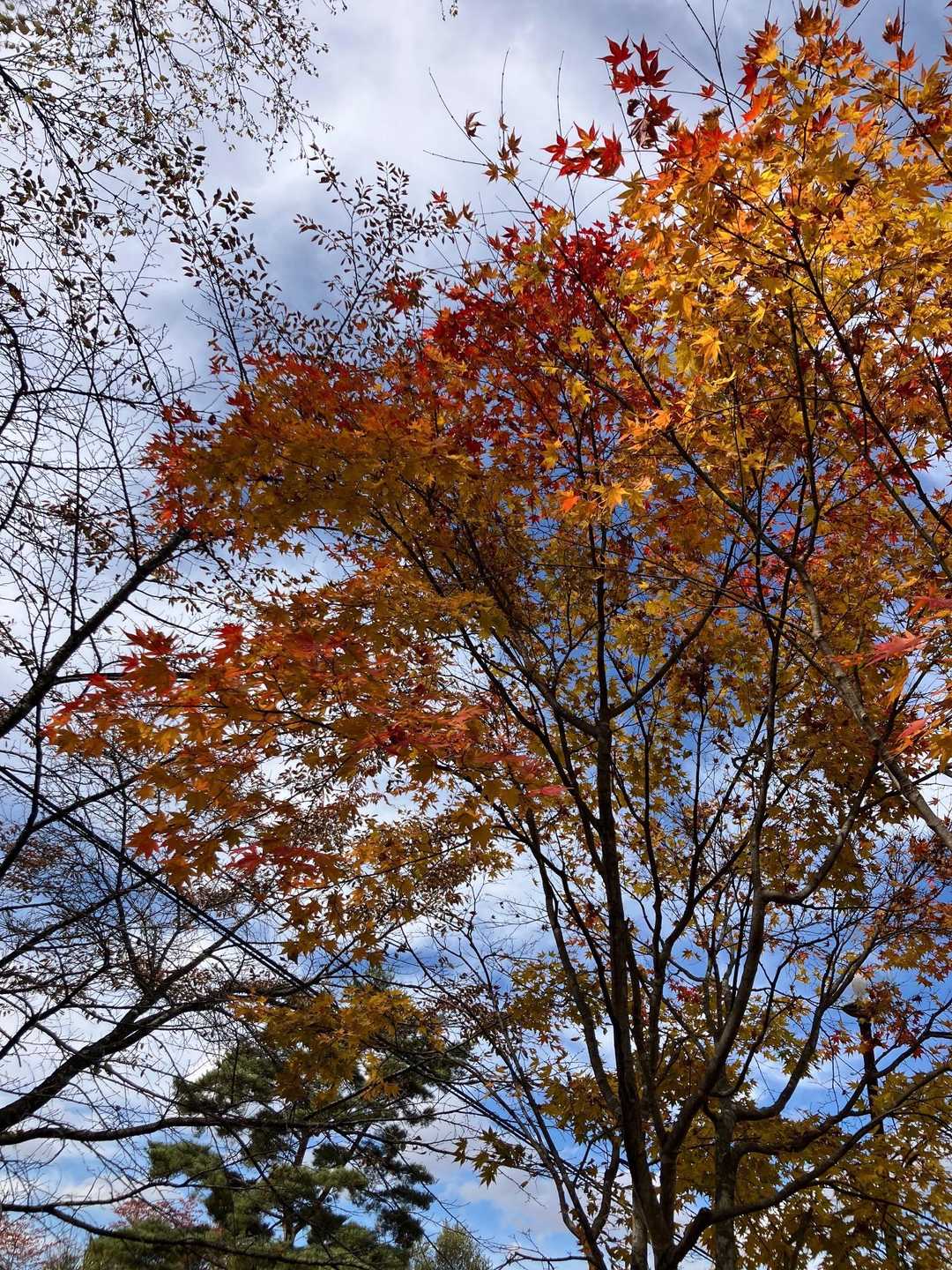 橙色に青空