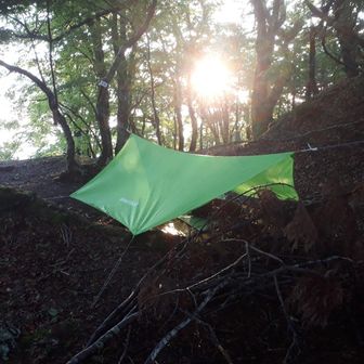 バランスライト(TET)