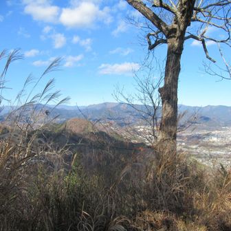鶴島金剛山からの眺望、扇山、権現山など。