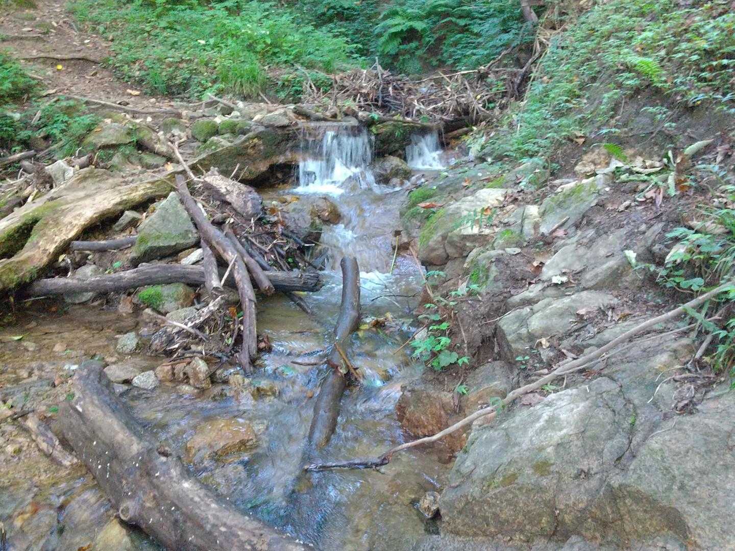冷たい沢の水
涼しげな音