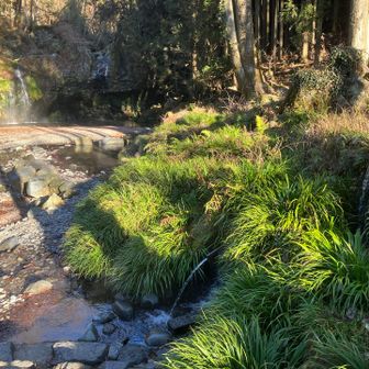 至る所から湧き出ている清水