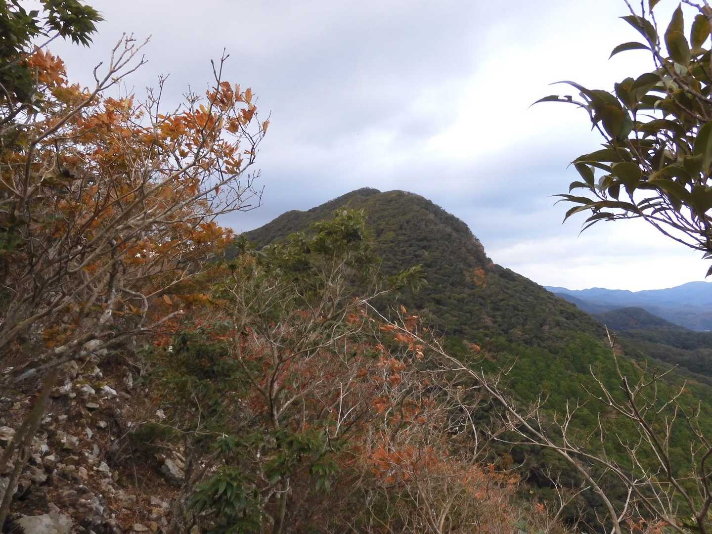 城山山頂が見えてきた...