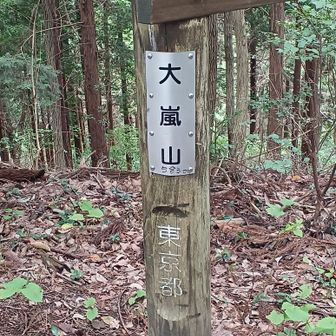 大嵐山