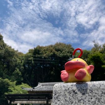 久々の山行楽しかったです。
最近時間が取れず今日が六月最初の山行になってしまいました。でもここからまた色々登って行きたいです。よろしくお願いします。
ここまで読んでいただきありがとうございますナノデス！