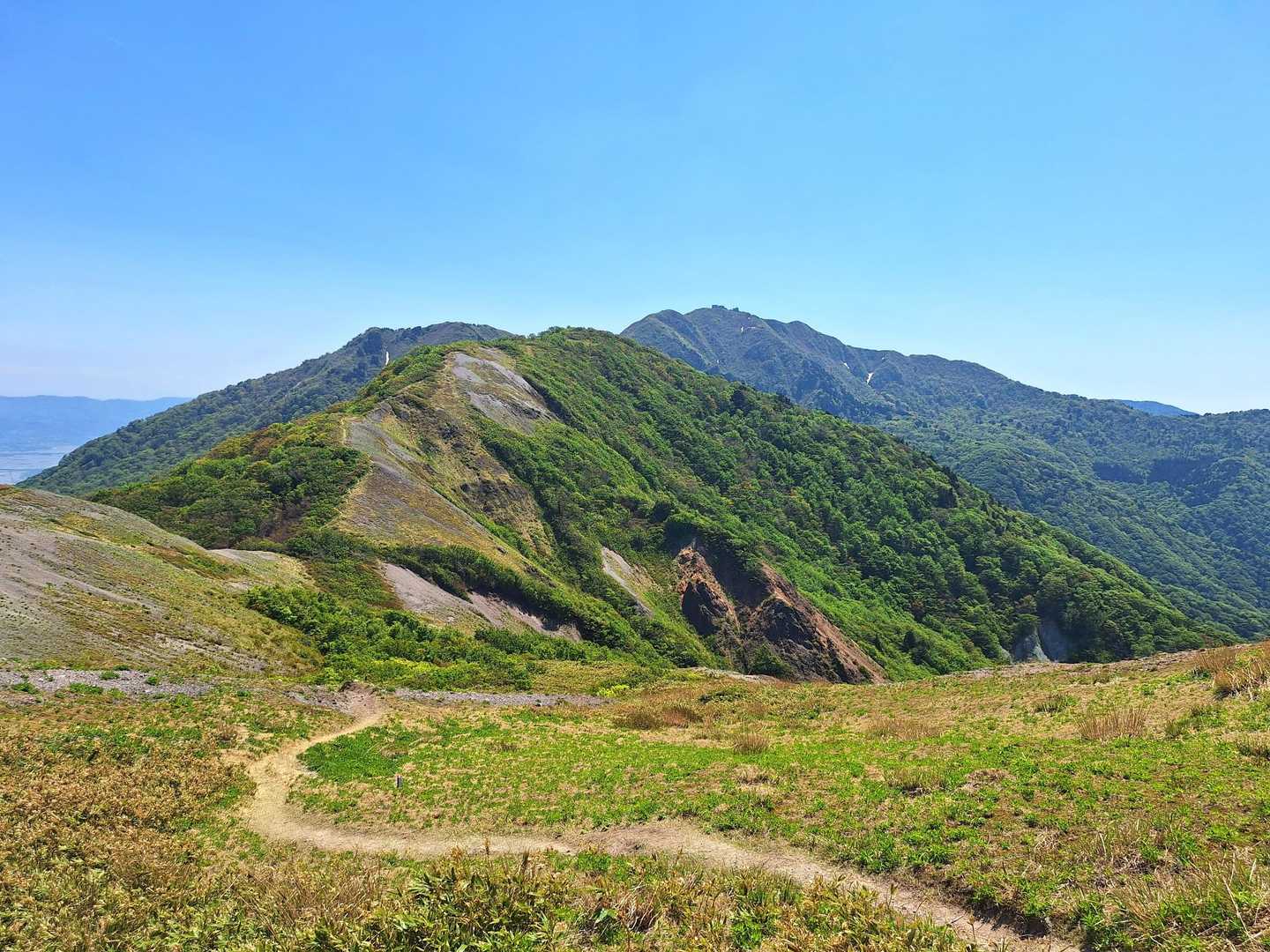 駆け出したくなります🤩