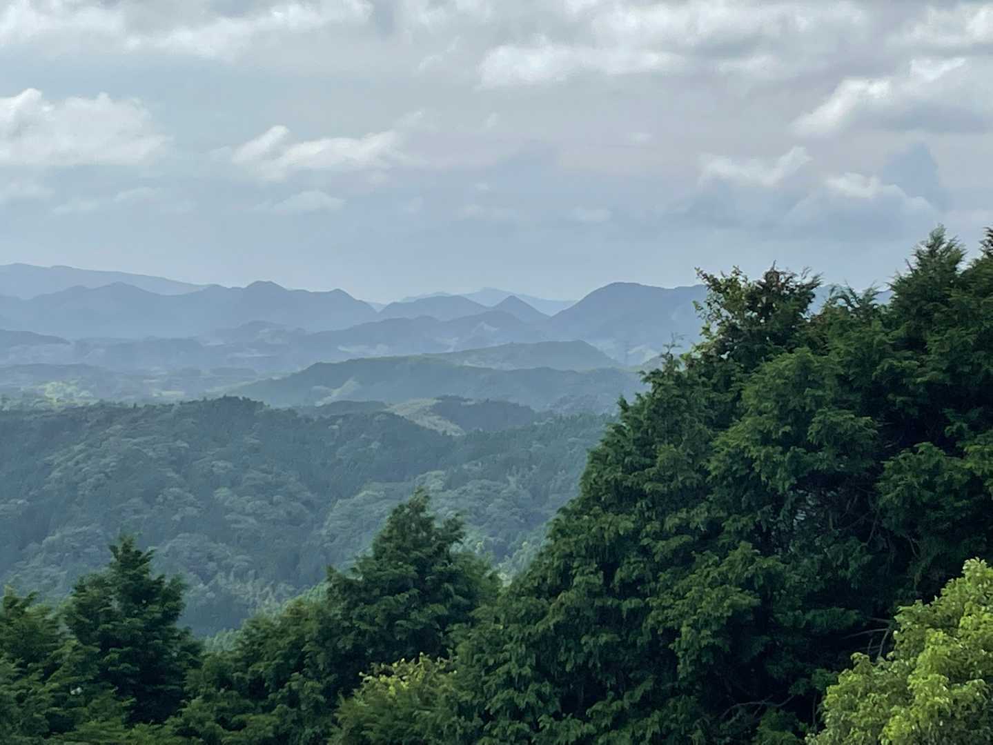 こちらは冠岳方面