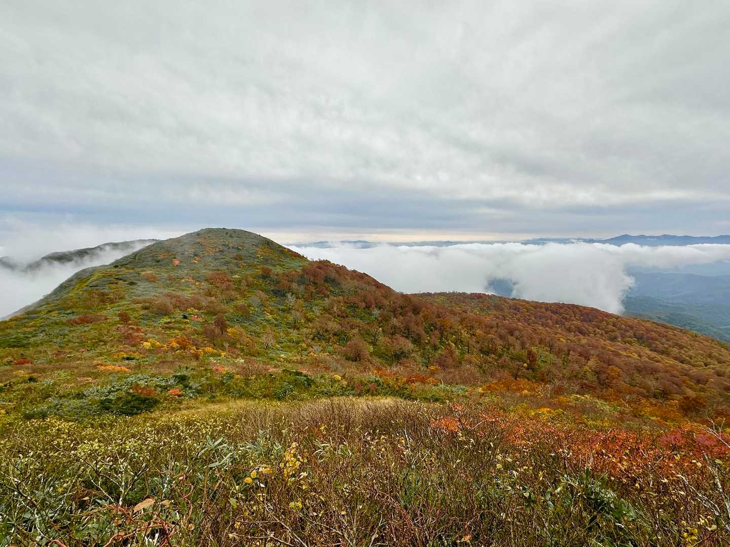 奥の院へ向かう🚶振り返って葉山山頂🙄