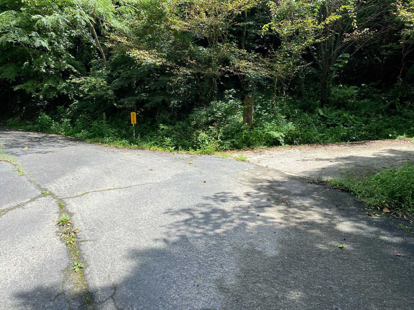 やる気なくて💦ズルしようと思い、ここから右に、地図の登山口まで行こうと思ったのが、間違いでした😨💦