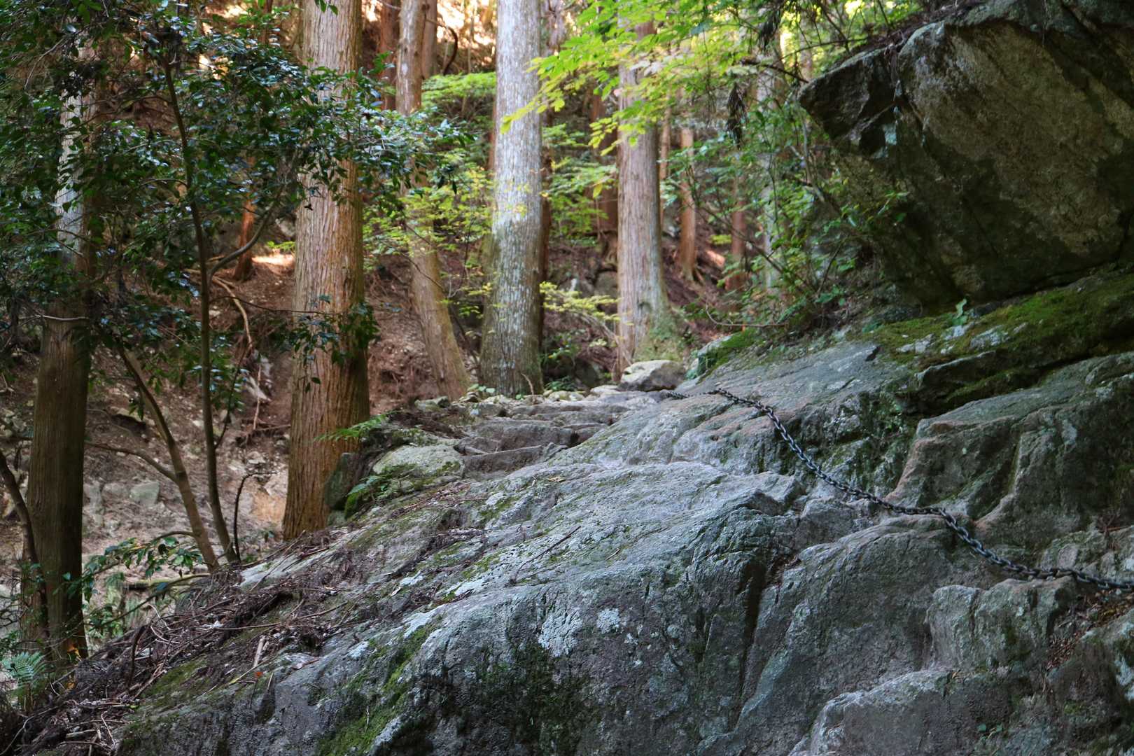 いつもの鎖場