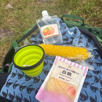 凍らせた白桃がいい感じ