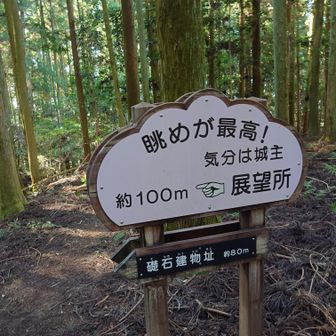 コレは行かなくては‼️