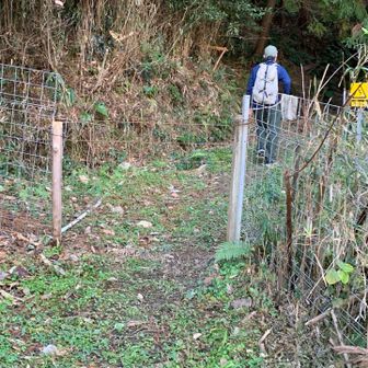 ゲートを開けて、登って行きます