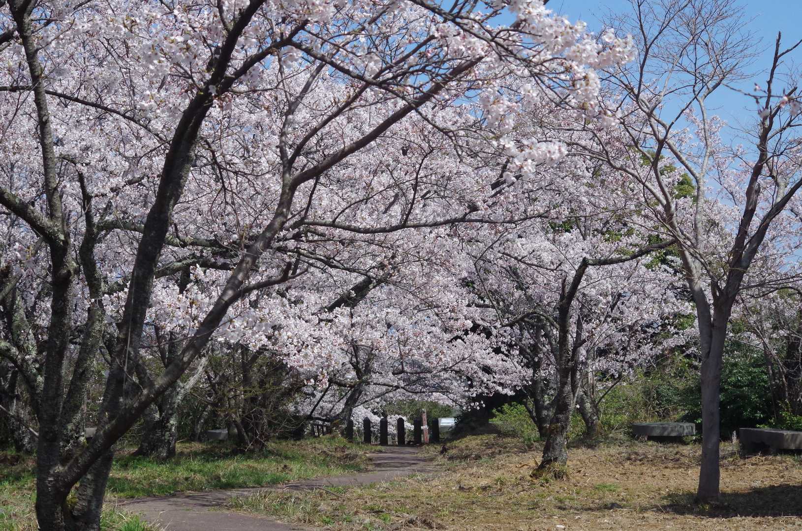 清水山（島根県安来市島田町）の写真