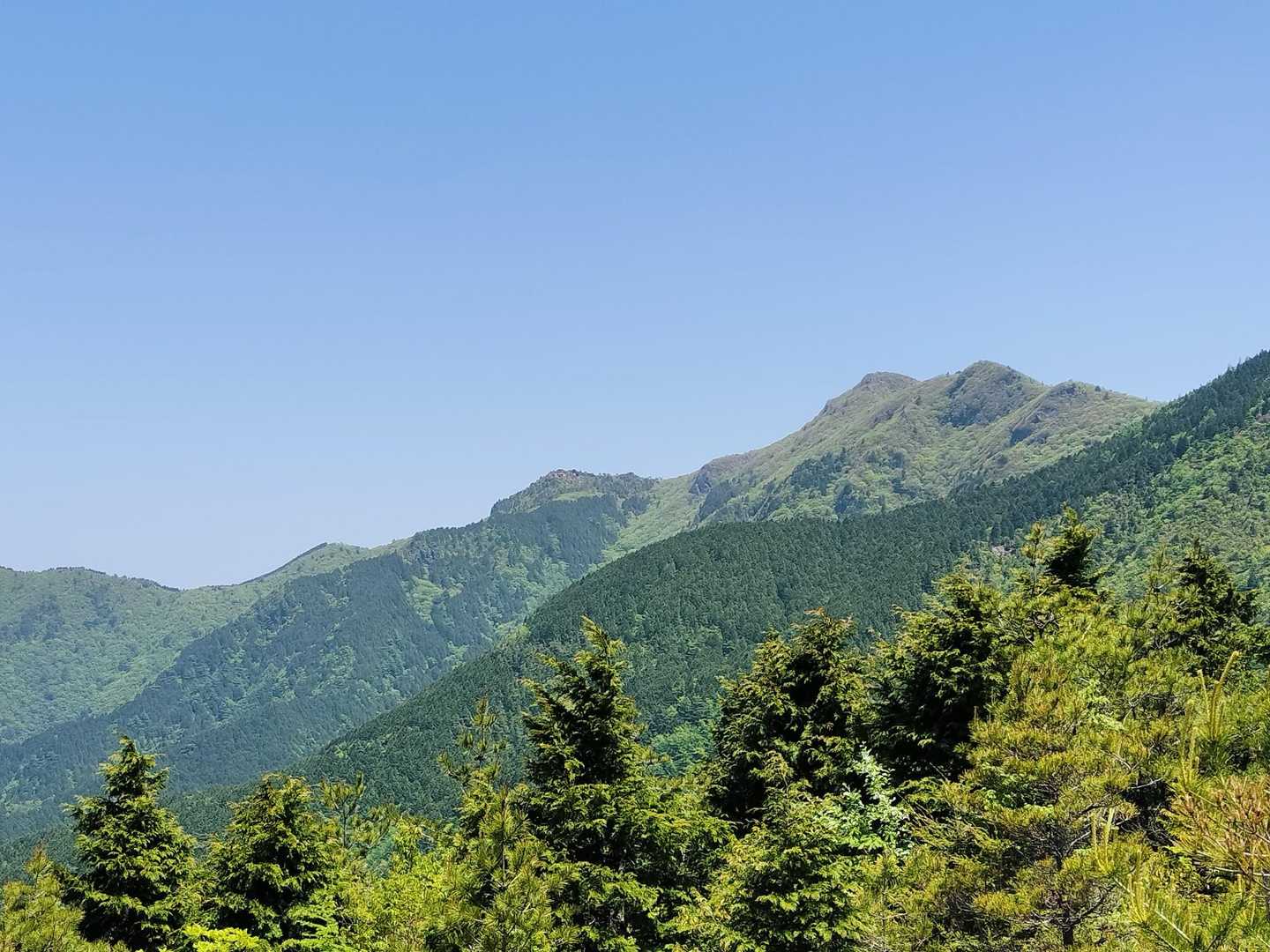 銅山峰から西赤石山
今日は行きませんよと念押しされていたので見るだけ🥲
晴れてるしいい景色だろうな