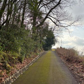 しっかりと整備された公園のような感じで歩きやすかったです(*^◯^*)