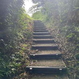 山頂下の階段はよい状態